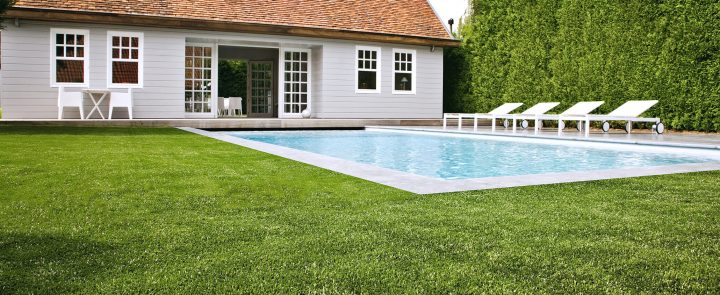 Brico Depot Gazon Synthetique Beau Herbe Synth Tique intérieur Moquette Extérieur Brico Dépôt Brico Depot Gazon Synthetique Beau Herbe Synth Tique intérieur Moquette Extérieur Brico Dépôt