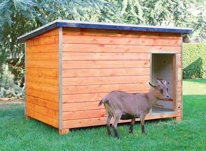 Brise Vue Bois: Blog De Magicmanu Am Nagement De Notre encequiconcerne Abris A Bois