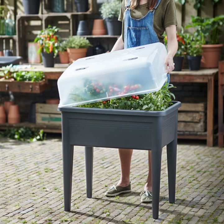 Carré Potager Sur Pieds Avec Cloche Elho L76 H65,1 Cm Noir pour Carré Potager Sur Pied Gifi Carré Potager Sur Pieds Avec Cloche Elho L76 H65,1 Cm Noir pour Carré Potager Sur Pied Gifi