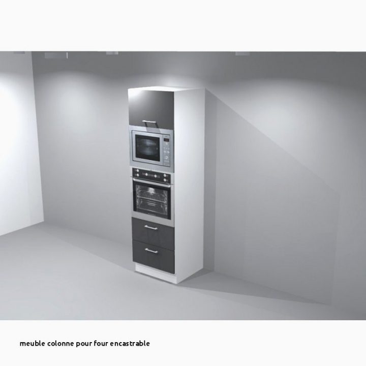 Colonne Four Encastrable Brico Depot Télécharger Les à Colonne Four Micro Onde Brico Dépôt