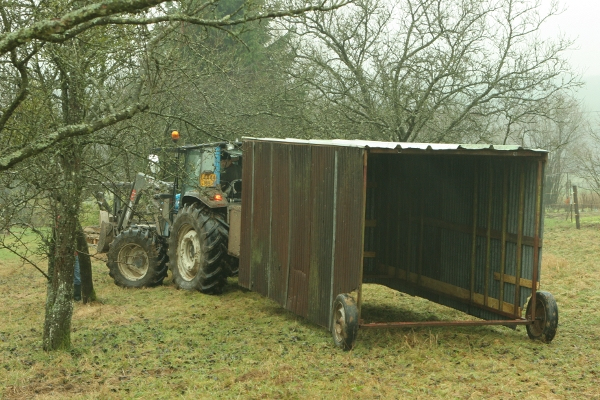 Destination… Terre Curly… pour Abri Pour Remorque