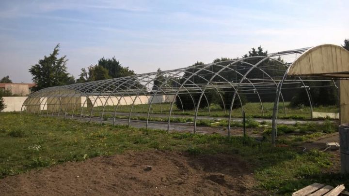 Espaces Verts / Jardinage – Armature De Serre – Jardin781 dedans Serre Filclair Occasion