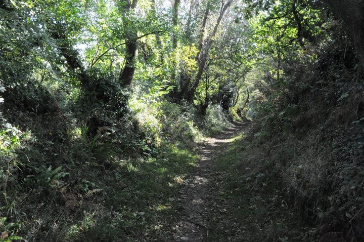 File:chemin Creux-Brest Saint-Pierre – Wikimedia Commons pour Chemin Jeunant Bretagne