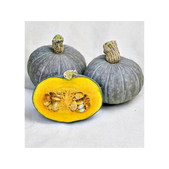 Incinérateur Métal ‒ Graines Baumaux dedans Incinérateur De Jardin 150 L Incinérateur Métal ‒ Graines Baumaux dedans Incinérateur De Jardin 150 L