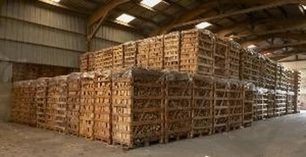 Livraison Bon Coin Bois De Chauffage Particulier à Brouette En Bois Le Bon Coin Livraison Bon Coin Bois De Chauffage Particulier à Brouette En Bois Le Bon Coin