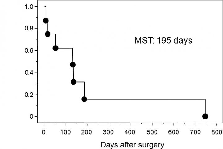 Papillomavirus Donne Des Boutons, Les Infections destiné Démangeaisons Des Testicules Papillomavirus Donne Des Boutons, Les Infections destiné Démangeaisons Des Testicules