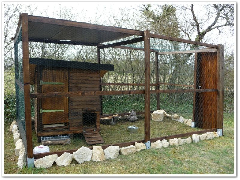 Grillage A Poule 50M Brico Dépôt