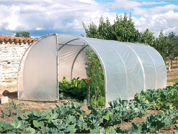 Serre De Jardin Galina – Mobilier De Jardin Et Terasse tout Serre De Jardin Adossée Occasion Serre De Jardin Galina – Mobilier De Jardin Et Terasse tout Serre De Jardin Adossée Occasion