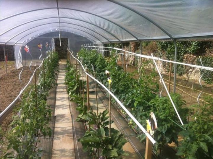 Serre De Jardin Tunnel Largeur 5 Mètres Vernantes 49390 intérieur Serre De Jardin Fabrication Française