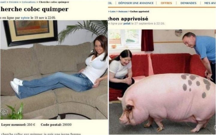 Top 100 Des Pires Annonces Vues Sur Le Bon Coin à Le Bon Coin Yvelines Ameublement