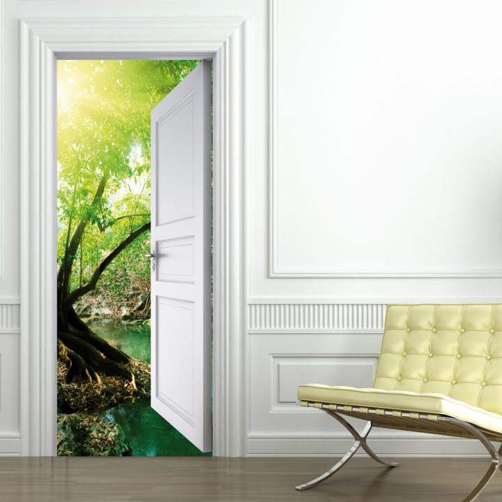 Wallstickers Folies : Nature Door Stickers destiné Trompe L'Oeil Porte Leroy Merlin