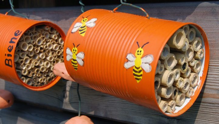eisbeinsülze selber machen