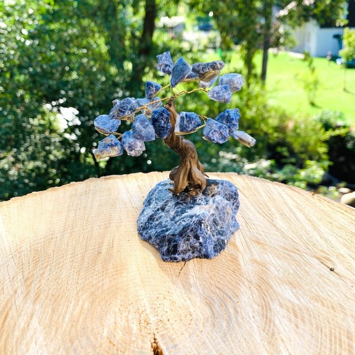 Arbre De Vie En Pierre Naturelle De Sodalite Avec Pied En encequiconcerne Pierre Chemin De Vie