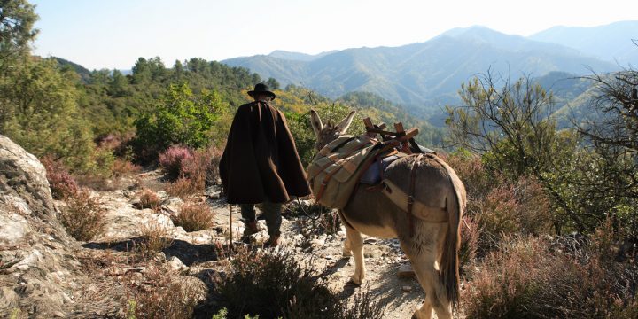 Carte Postale – Le Chemin De Stevenson à Les Chemins De Stevenson