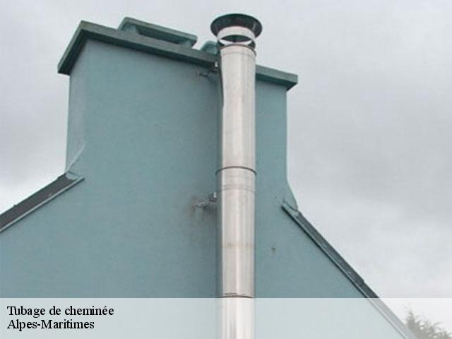 Entreprise Tubage De Cheminée 06 Alpes-Maritimes Tel: 04 avec Tubage Cheminée Obligatoire