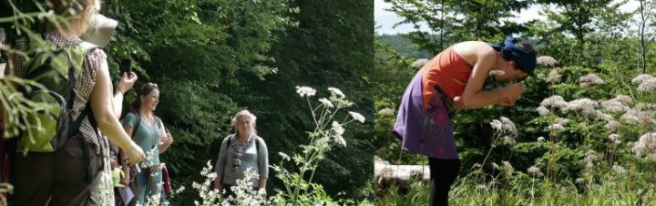 Formations Pour Les Particuliers – À La Croisée Des Chemins dedans La Croisée Des Chemins Fegersheim