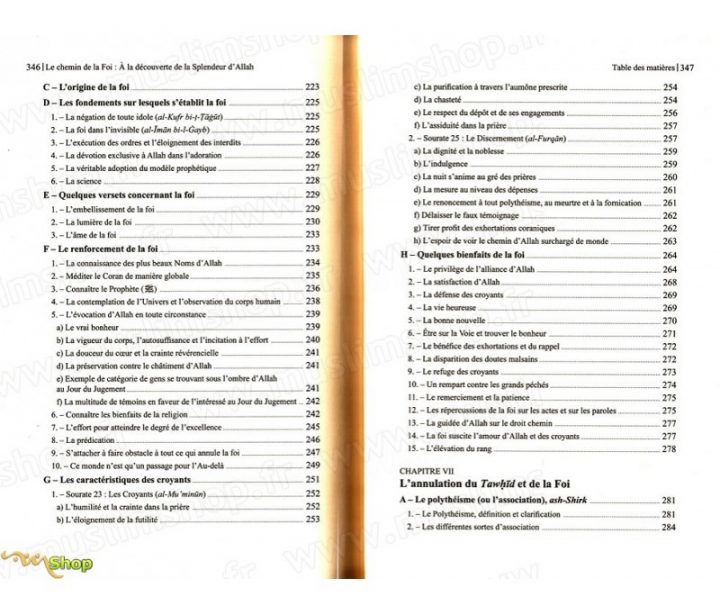 Le Chemin De La Foi (A La Découverte De La Splendeur D dedans Chemins De La Foi