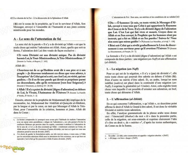 Le Chemin De La Foi (A La Découverte De La Splendeur D intérieur Les Chemins De La Foi