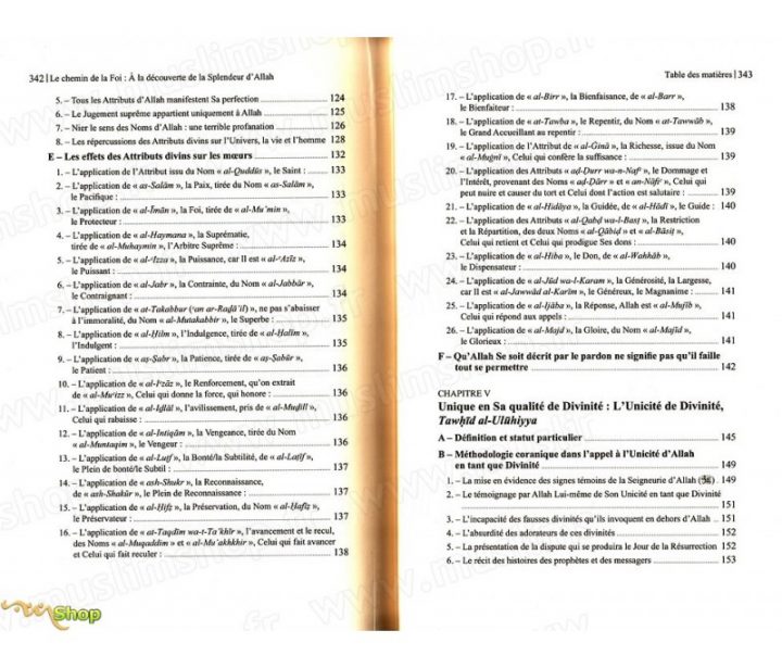 Le Chemin De La Foi (A La Découverte De La Splendeur D serapportantà Chemins De La Foi