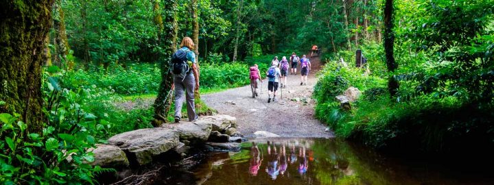 Le Chemin De Saint-Jacques De Compostelle En Groupe avec Faire Le Chemin De Saint Jacques De Compostelle
