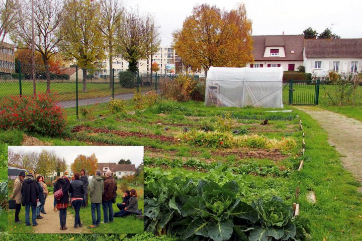 Le Jardin Partagé Du Quartier Du Chemin Vert À Caen Jardin à Piscine Du Chemin Vert Caen