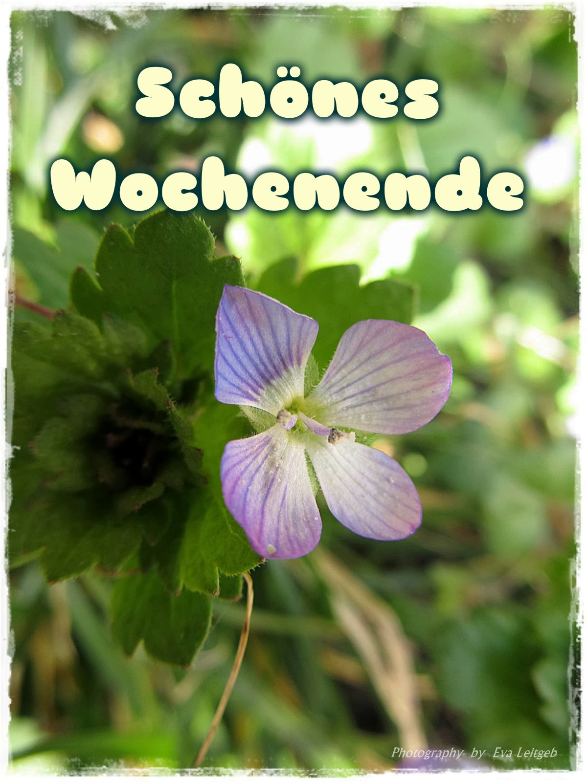 schönes wochenende euch allen