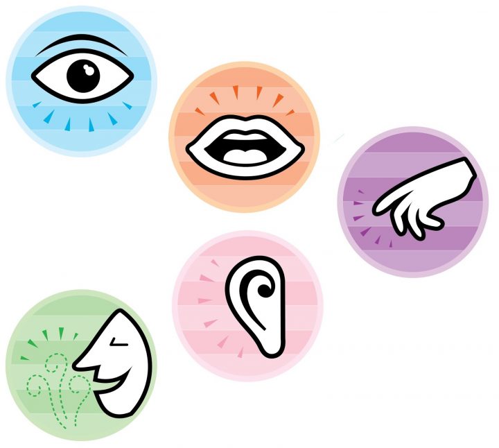 Sens Original, La Boutique Du Bien-Être, Zoom Sur Le encequiconcerne Sur Le Chemin Des Sens