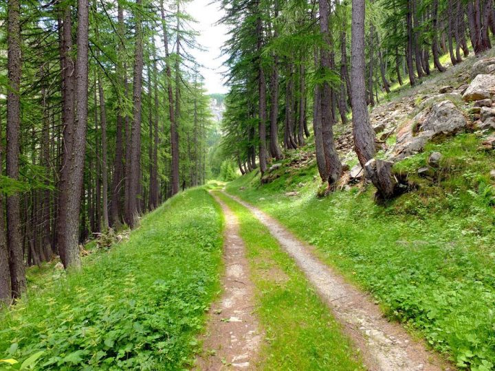 Sur Les Petits Chemins Des Alpes Du Sud En Juillet 2020 dedans Les Chemins Du Sud