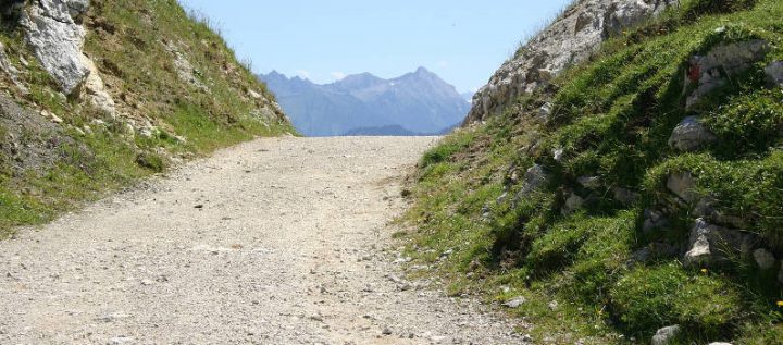 lernende organisation beispiele lernende organisation beispiele