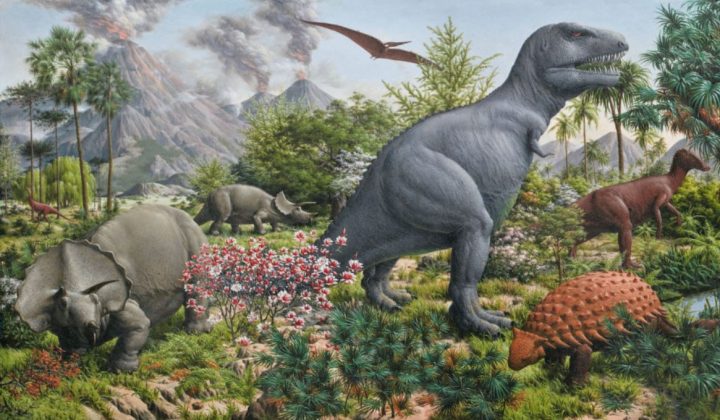 abschnitt der urgeschichte abschnitt der urgeschichte