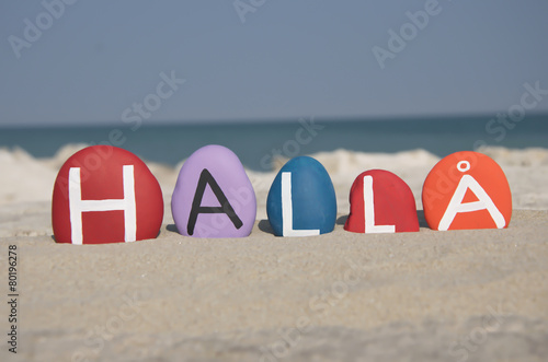 was heißt hallo auf schwedisch