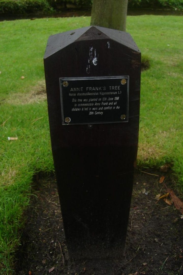 anne frank stammbaum anne frank stammbaum