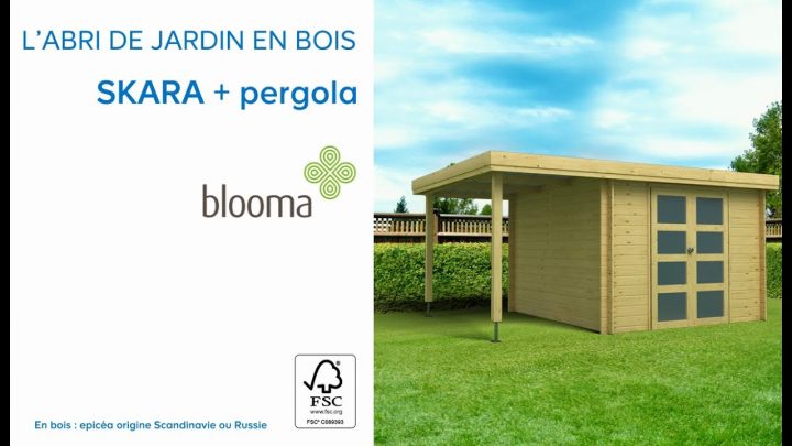 Abri De Jardin En Bois + Pergola Skara Blooma (675978) Castorama dedans Abri De Jardin Avec Pergola Castorama