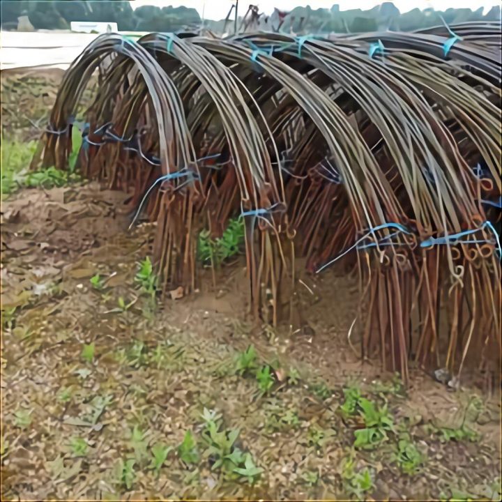 Arceaux Serre D'Occasion | Plus Que 3 À -70% serapportantà Arceaux De Serre Occasion Le Bon Coin Arceaux Serre D'Occasion | Plus Que 3 À -70% serapportantà Arceaux De Serre Occasion Le Bon Coin