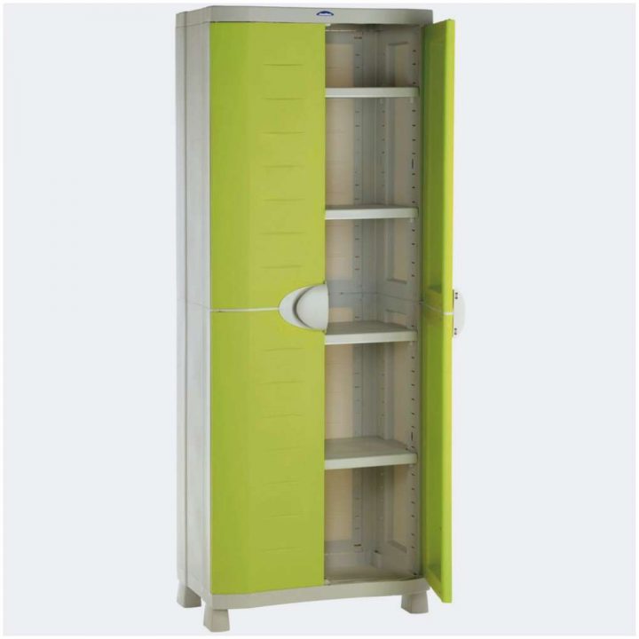 Armoire De Rangement Exterieur Brico Depot | Venus Et Judes pour Armoire À Pharmacie Brico Dépôt Armoire De Rangement Exterieur Brico Depot | Venus Et Judes pour Armoire À Pharmacie Brico Dépôt