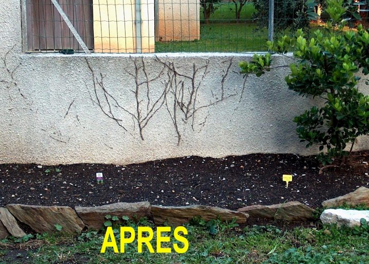 Brasero De Jardin Castorama – 1000+ Images About Jardines tout Arceau De Serre Castorama