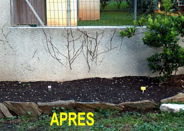 Brasero De Jardin Castorama – 1000+ Images About Jardines tout Arceau De Serre Castorama Brasero De Jardin Castorama – 1000+ Images About Jardines tout Arceau De Serre Castorama