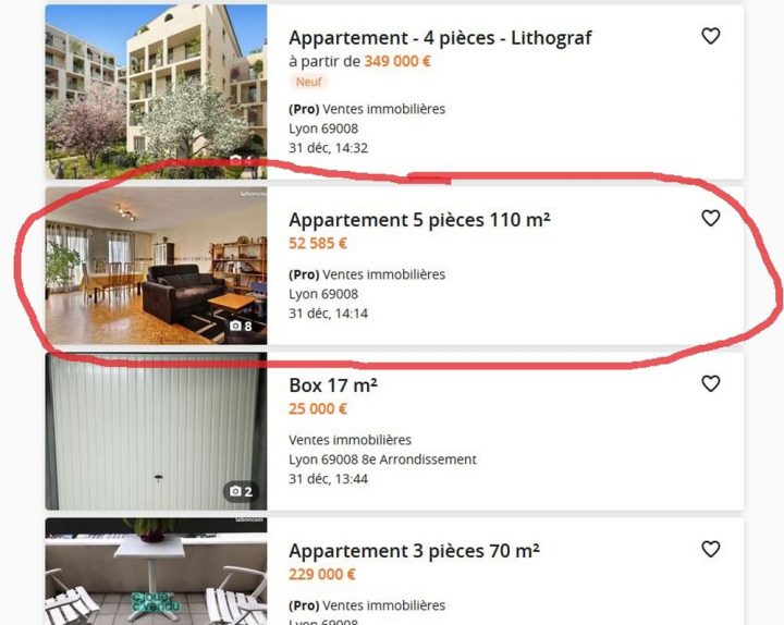 Insolite. Appartement De 110 M² À Lyon : Trouvé Sur concernant Le Bon Coin 69 Insolite. Appartement De 110 M² À Lyon : Trouvé Sur concernant Le Bon Coin 69
