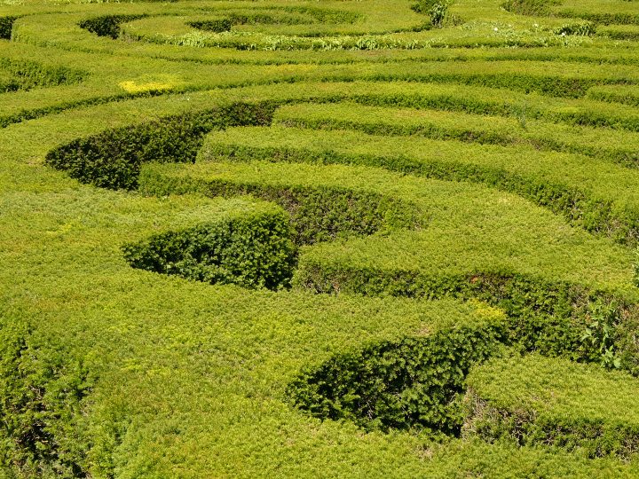 am irrgarten 2 am irrgarten 2