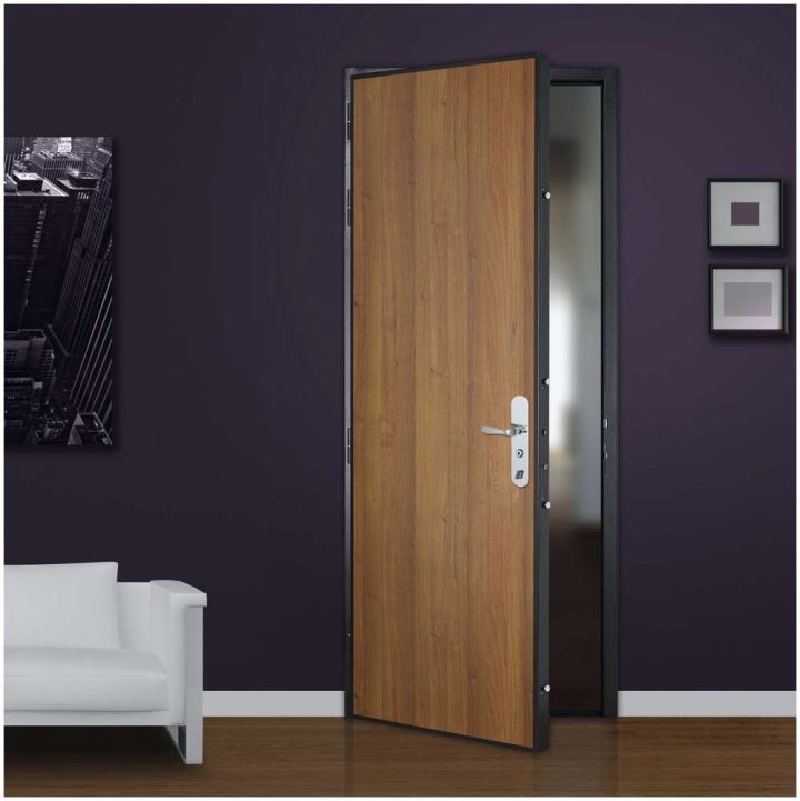 Isolation Porte D Entrée Appartement Photo De Le Meilleur De avec Capitonnage De Porte Leroy Merlin