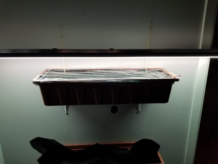 Jardinage En Appart – Jardinage – Le Peuplier destiné Mini Serre Intérieur Canac Jardinage En Appart – Jardinage – Le Peuplier destiné Mini Serre Intérieur Canac