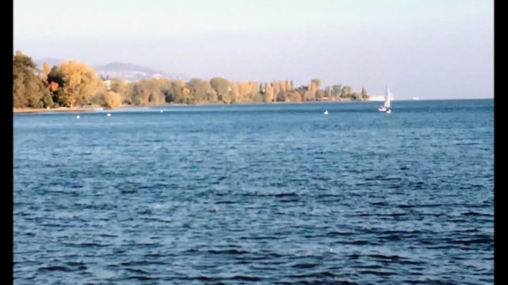 Perspective – Films De Poche destiné Télécharger Le Bonheur Au Bout Du Chemin Perspective – Films De Poche destiné Télécharger Le Bonheur Au Bout Du Chemin