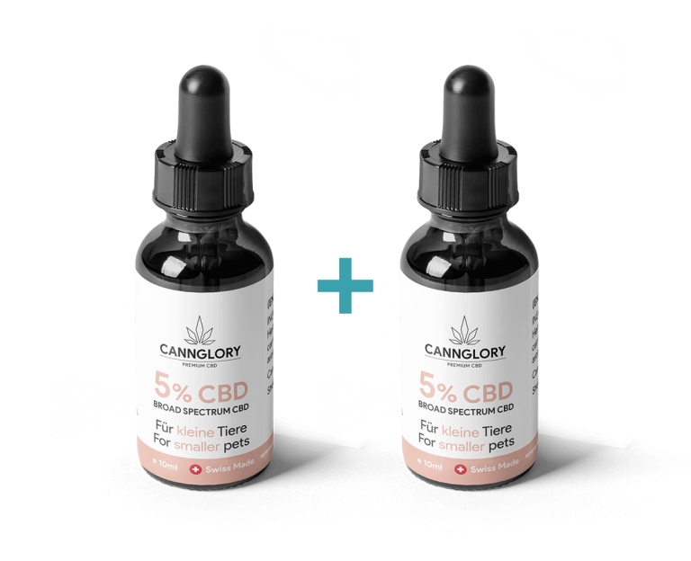 cbd öl hund silvester