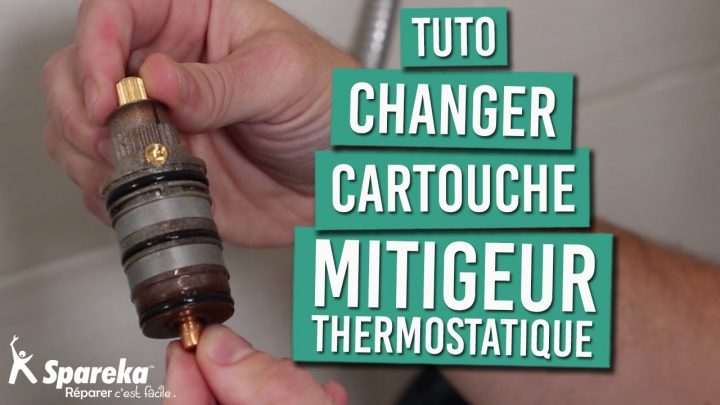 Comment Changer Les Cartouches De Votre Mitigeur Thermostatique De Douche encequiconcerne Changer Cartouche Douche Delta