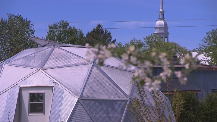Faire Pousser Ses Propres Légumes À L'Année Presque Sans Électricité! tout Serre Intérieur Canadian Tire Faire Pousser Ses Propres Légumes À L'Année Presque Sans Électricité! tout Serre Intérieur Canadian Tire