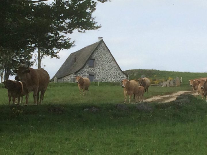 Gîte Le Buron De Terres Rouges, Laguiole – Aubrac concernant Buron Des Terres Rouges