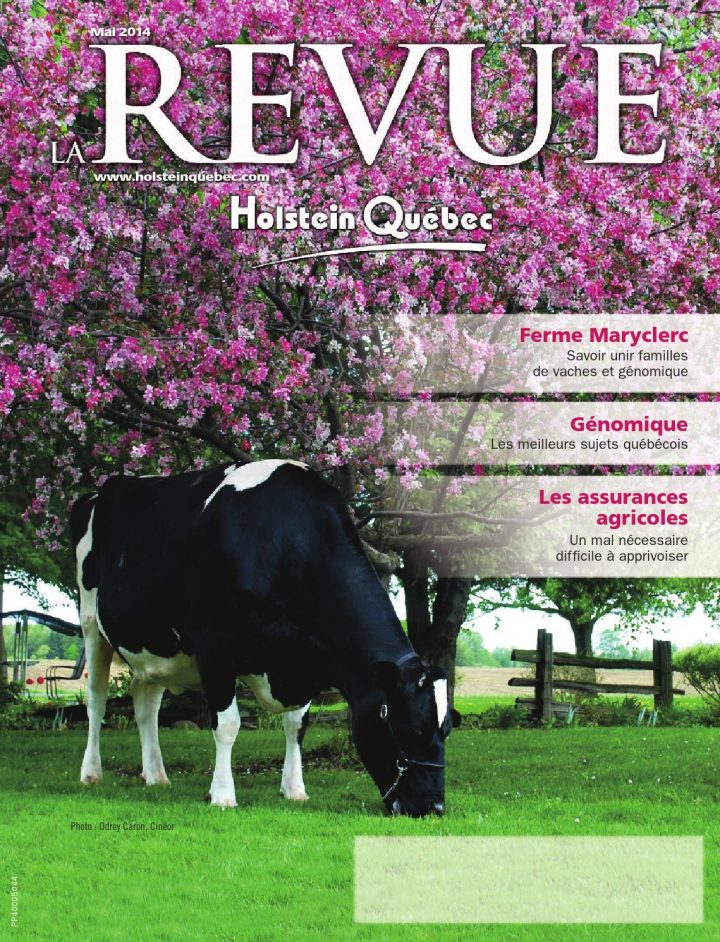 Larevue Mai 2014 By Holstein Québec – Issuu pour Sacha Bourque Ramdam