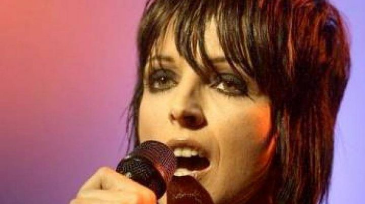 drachobert der hausdrache von freudenberg