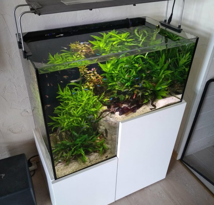 aquarium 250 litres avec meuble