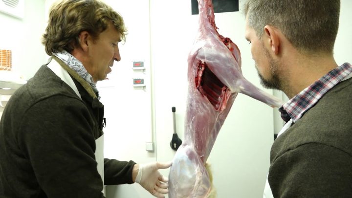 reh aus der decke schlagen reh aus der decke schlagen